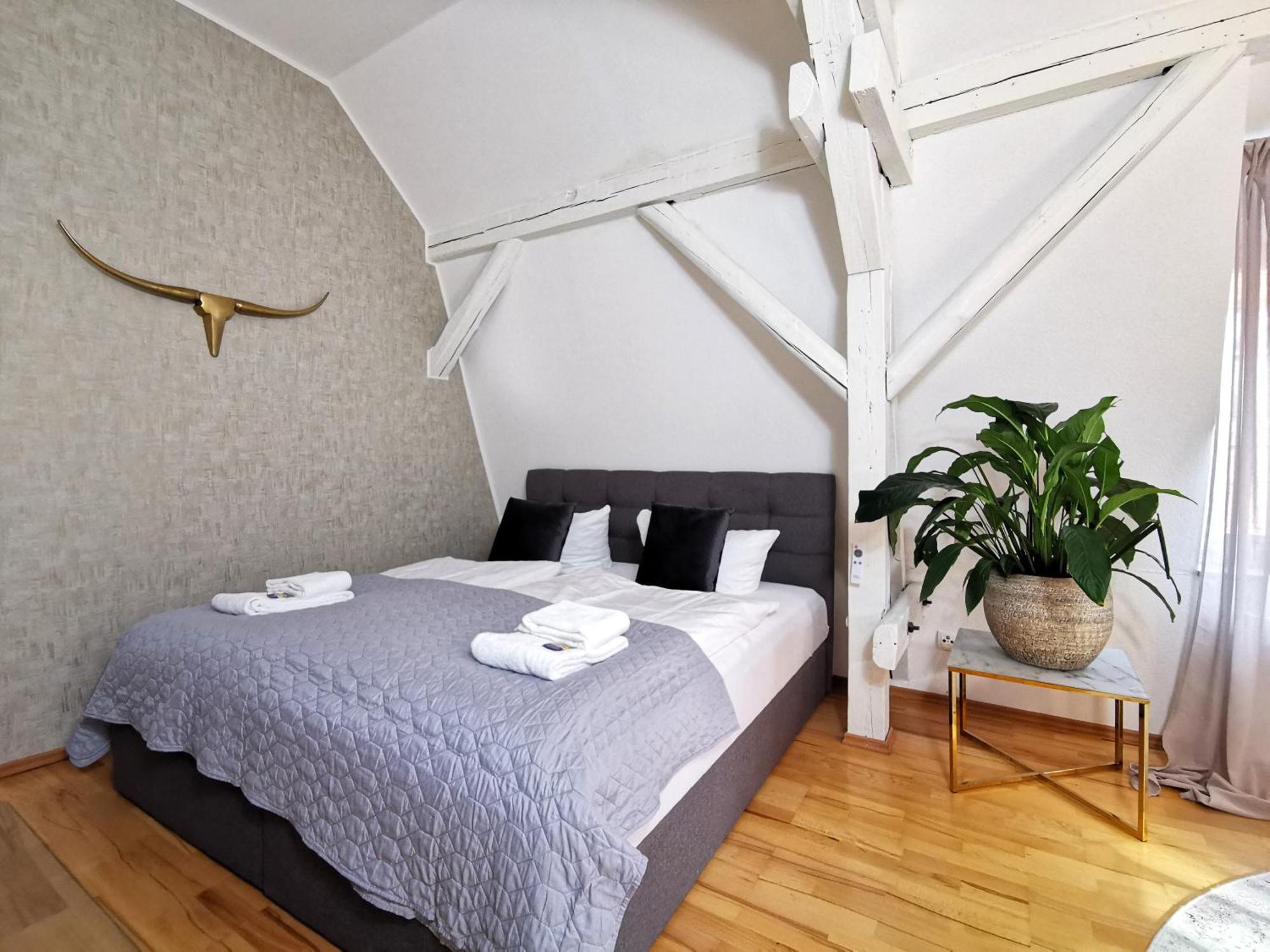 Bohnapartments Steigerwald - Natur In Der Stadt - Vollausstattung - Wlan - Gratis Parkplaetze Érfurt Exterior foto